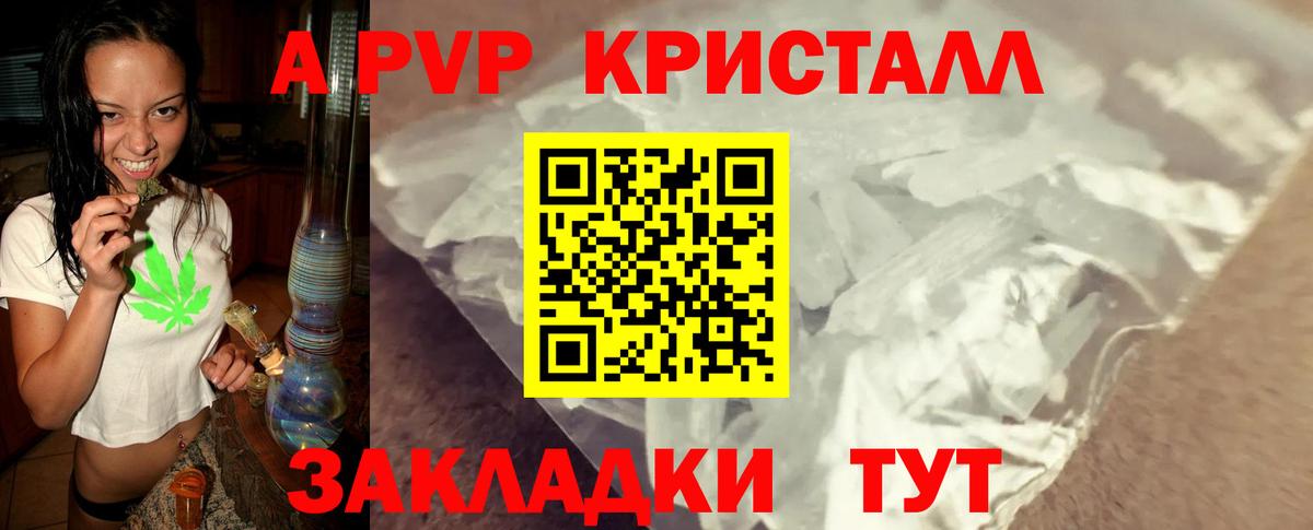 A PVP СК КРИС Барнаул