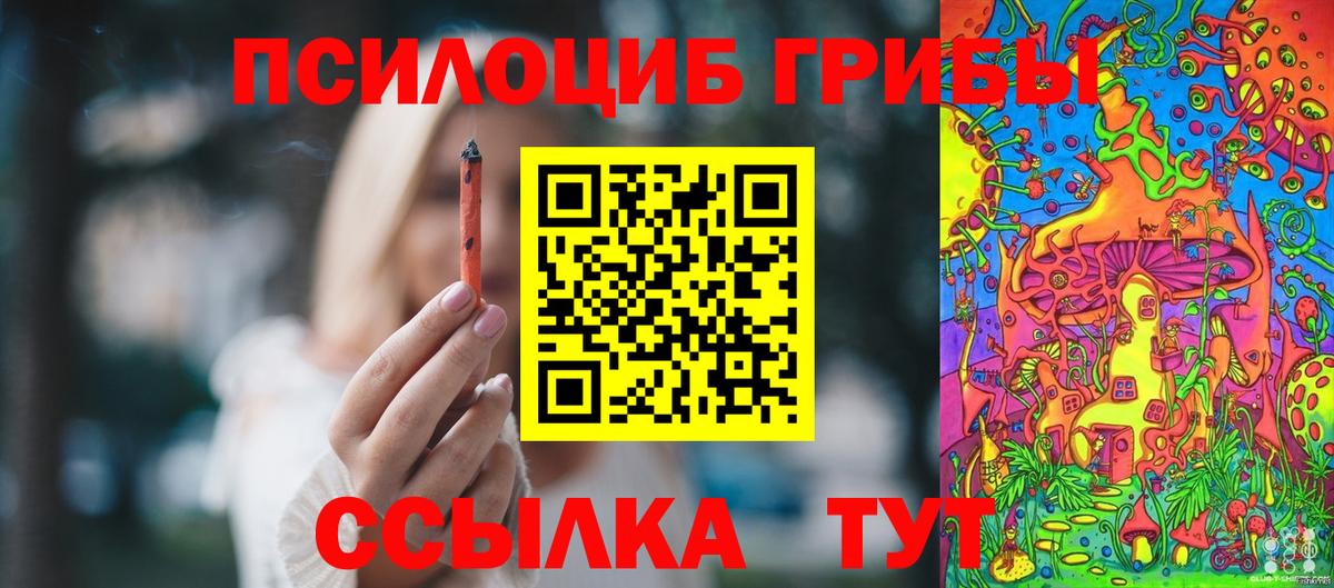 Псилоцибиновые грибы GOLDEN TEACHER Барнаул