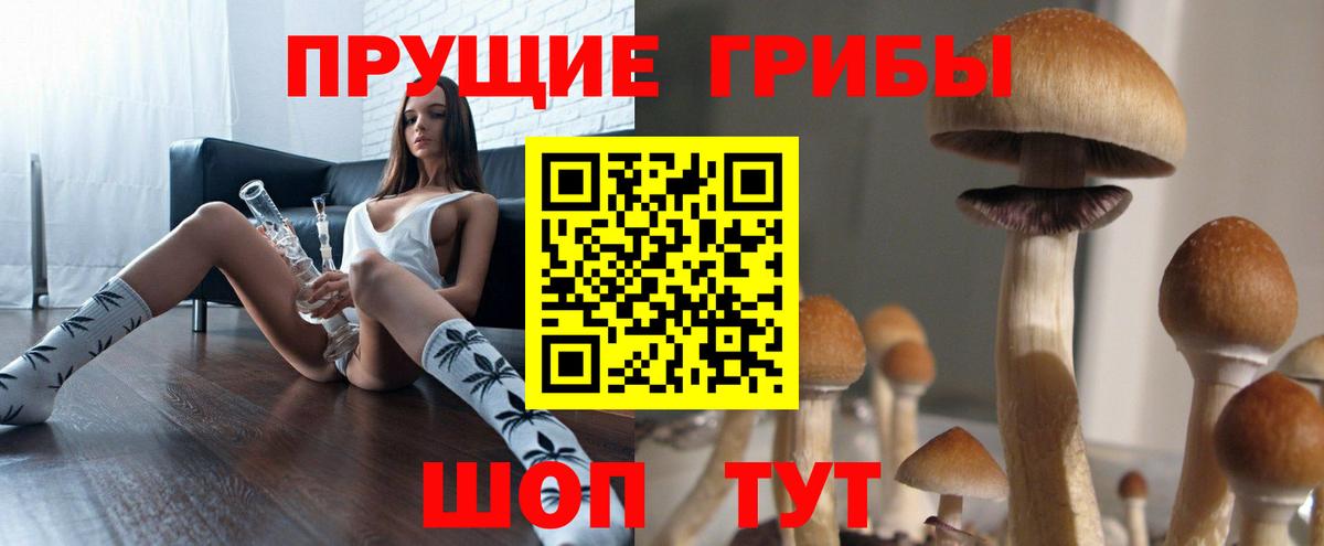 Галлюциногенные грибы Magic Shrooms  Псилоцибиновые грибы Psilocybe  где найти наркотики  Вход с VPN  Барнаул 
